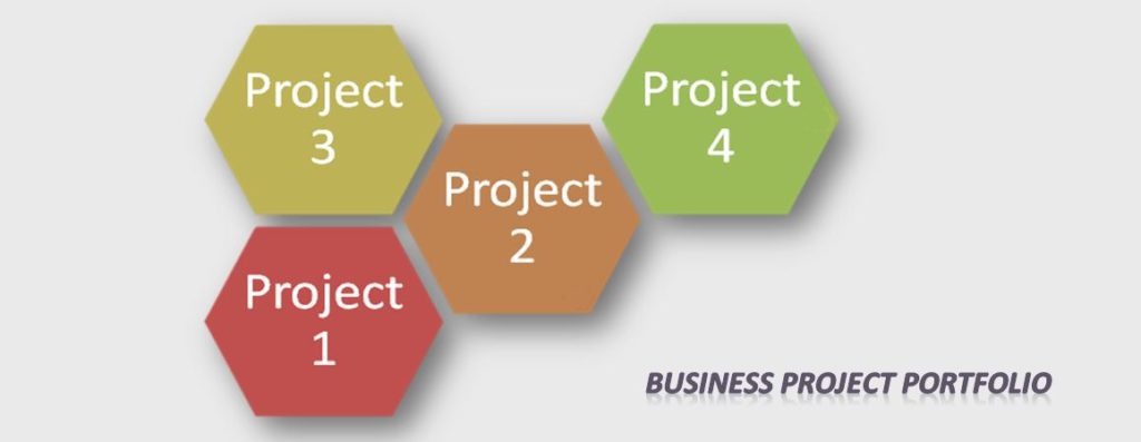 Project Management Portfolio
